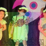 image img_9163-jpg