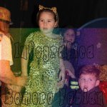 image img_5539-jpg
