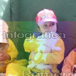 image img_0453-jpg