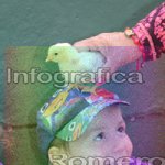 image img_0500-jpg