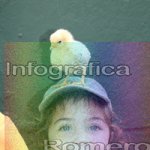 image img_0504-jpg