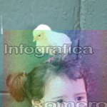image img_0506-jpg