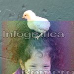 image img_0512-jpg