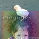 image img_0513-jpg