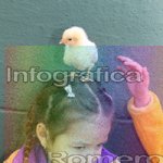 image img_0527-jpg