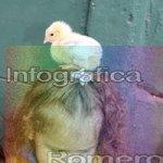 image img_0537-jpg