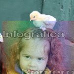 image img_0538-jpg