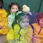 image img_0539-jpg
