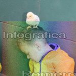image img_0545-jpg