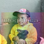 image img_0570-jpg