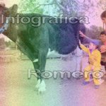 image img_0576-jpg