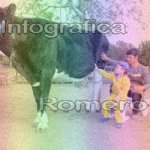 image img_0578-jpg