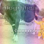 image img_0583-jpg