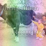 image img_0585-jpg