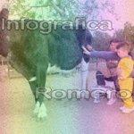 image img_0590-jpg