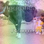 image img_0592-jpg