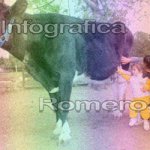 image img_0594-jpg