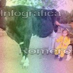 image img_0607-jpg