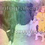 image img_0611-jpg
