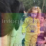image img_0612-jpg