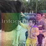 image img_0617-jpg
