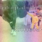 image img_0619-jpg
