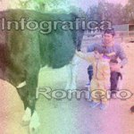 image img_0626-jpg