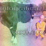 image img_0631-jpg