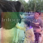 image img_0633-jpg