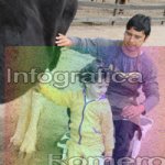 image img_0635-jpg