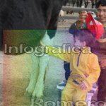 image img_0637-jpg