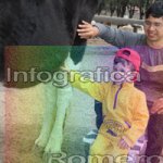 image img_0638-jpg