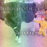 image img_0639-jpg