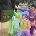 image img_0643-jpg