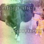 image img_0650-jpg