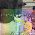 image img_5975-jpg