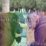 image img_5982-jpg