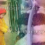 image img_0661-jpg
