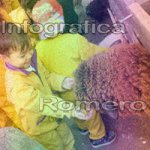 image img_0684-jpg