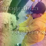 image img_0689-jpg
