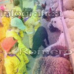 image img_0693-jpg