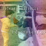 image img_0700-jpg