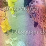 image img_0704-jpg