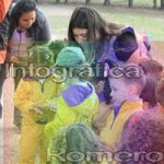 image img_6008-jpg