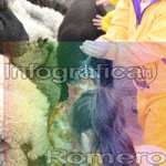image img_6010-jpg