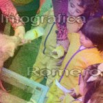 image img_0752-jpg
