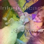 image img_0755-jpg