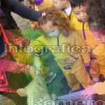 image img_0774-jpg