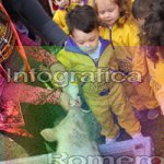 image img_0775-jpg