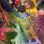 image img_0776-jpg